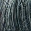 Posh Wig Ellen Wille Hair Society Collection - image salt-pepper-mix-64x64 on https://purewigs.com