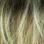 Strada Mono Wig Stimulate Ellen Wille - image sandy-blonde-rooted-64x64 on https://purewigs.com