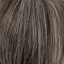 Yama Wig Sentoo Premium - image Premium-456-1-64x64 on https://purewigs.com
