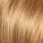 Bailey wig Rene of Paris Hi fashion Collection - image Apricot-Frost-64x64 on https://purewigs.com
