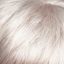 Dixie wig Amore Rene of Paris - image Silver-Mink-64x64 on https://purewigs.com