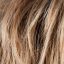 Beauty Wig Ellen Wille Hair Society Collection - image light-bernstein-64x64 on https://purewigs.com