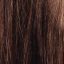 Dixie wig Amore Rene of Paris - image medium-brown-64x64 on https://purewigs.com
