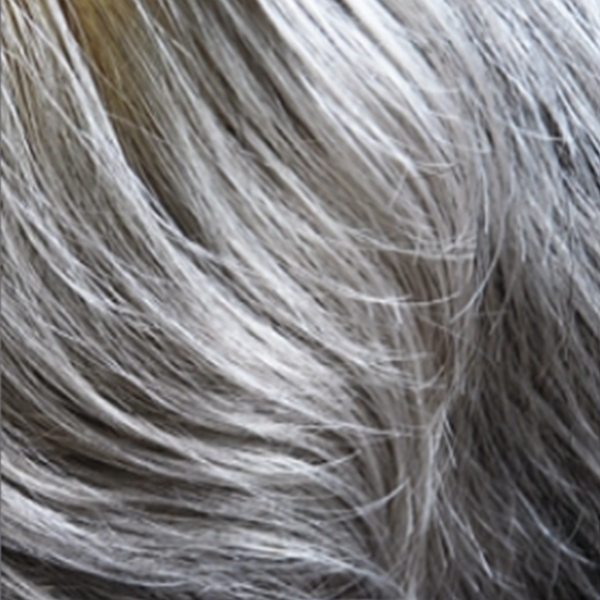 Beatrice Wig, Dimples Feather Premier Collection - image Silver-Thread-56G on https://purewigs.com