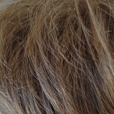 Winner Wig Raquel Welch UK Collection - image R13F25-Praline-Foil-Web on https://purewigs.com