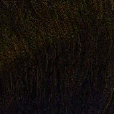 Short Cut Wig Natural Image - image SF1b_8-Soft-Dark-Walnut-1 on https://purewigs.com