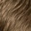 Fern Wig Hair World - image 12h-1-64x64 on https://purewigs.com
