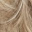 Fern Wig Hair World - image 1424H-64x64 on https://purewigs.com