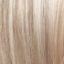 Fern Wig Hair World - image 16H-64x64 on https://purewigs.com