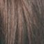 Fern Wig Hair World - image 6h-1-64x64 on https://purewigs.com