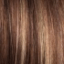 Kris Wig Hair World - image toasted-pecan-64x64 on https://purewigs.com