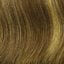 Go For It Raquel Welch UK Collection - image R1226-HONEY-PECAN-64x64 on https://purewigs.com