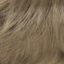 Zara Wig Hair World - image 18-22-64x64 on https://purewigs.com